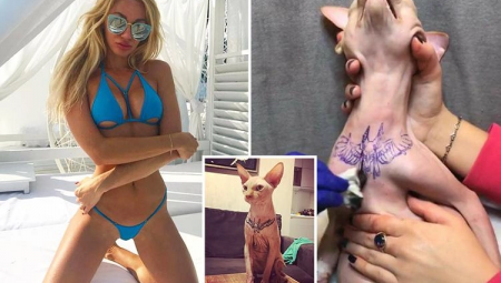 Instagram Fenomeni Elena Ivanickaya Kedisine Dövme Yaptırdı